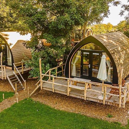 Boomhuis Met Optioneel Wellness - Vakantiepark De Schreiershoek Dokkum Exterior photo
